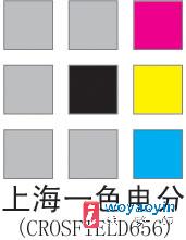 (yng)֖|늷֒蹫˾ӹ